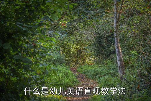 直觀教學法，什么是幼兒英語直觀教學法