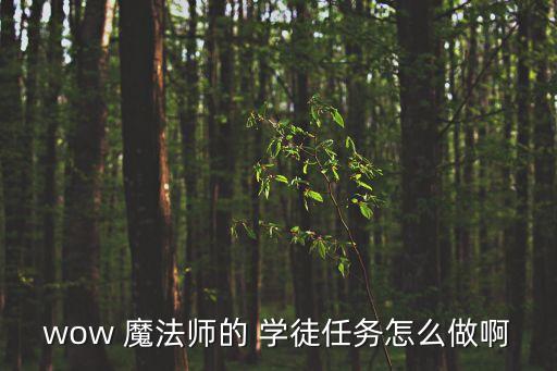 魔法師的學(xué)徒2,禁錮魔法老師的工具有什么用?