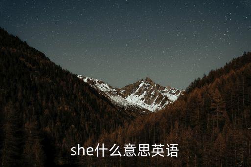 she是什么意思,她是我的新車,很美!女教師借我一萬元還債