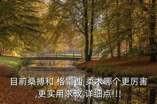 格雷西柔術,巴西柔術是目前最全面實戰能力最強武術之一