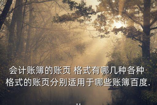賬本格式,三欄式明細賬賬頁格式與總賬一致