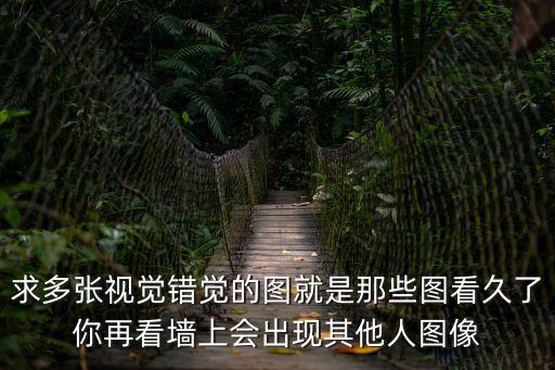 求多張視覺錯覺的圖就是那些圖看久了你再看墻上會出現其他人圖像