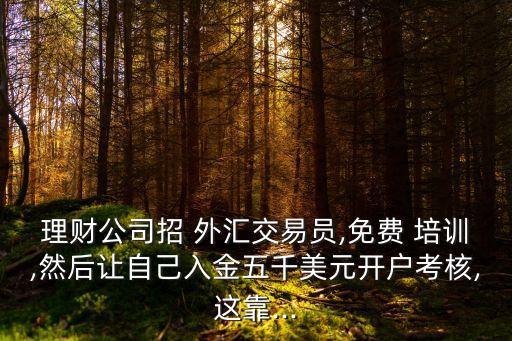 外匯培訓,外匯交易賺錢有多容易