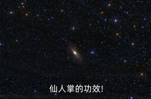  仙人掌的功效!