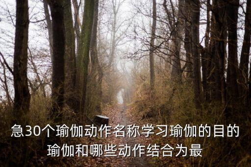 瑜伽姿勢(shì)，瑜伽坐姿有哪幾種