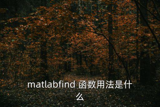 find函數,c語言find函數用法詳解!