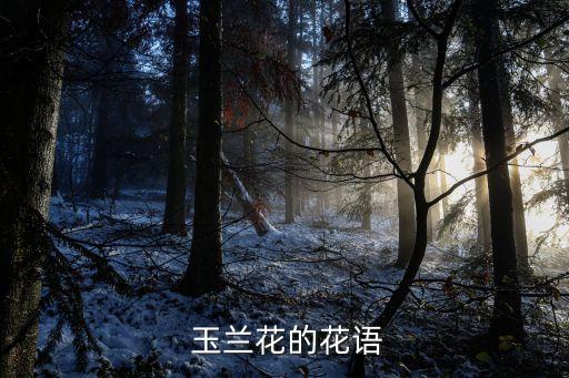 玉蘭花的花語(yǔ)