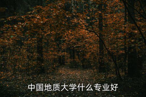 中國地質大學專業(yè)，中國地質大學有什么專業(yè)
