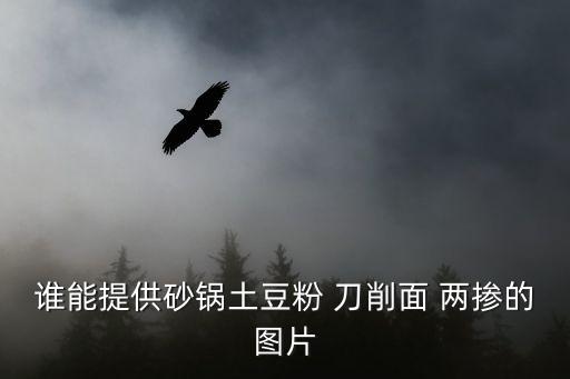 砂鍋土豆粉圖片，自己在家制作砂鍋土豆粉的方法
