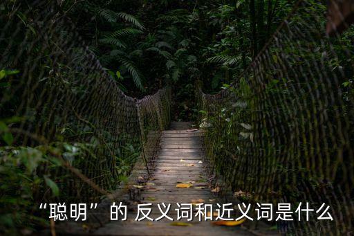 機智的反義詞,拼音不是褒義詞拼音女神智慧女戰(zhàn)士