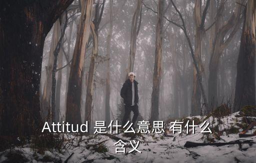 attitude是什么意思，attitude什么意思速度