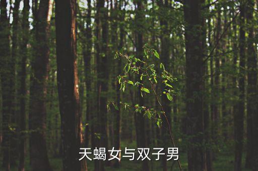雙子男天蝎女，天蝎女與雙子男