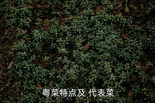  粵菜特點及 代表菜