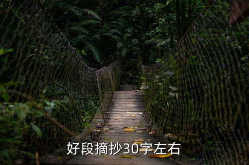 好段摘抄30字，好段摘抄30字左右