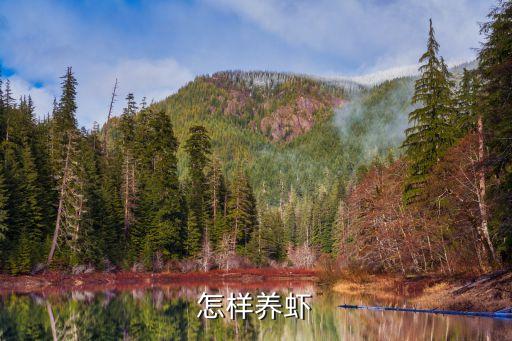 養(yǎng)蝦，怎樣養(yǎng)蝦
