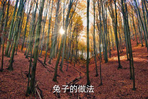 兔子的做法