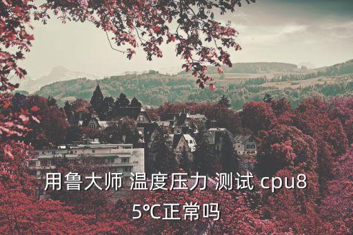 cpu溫度測試,夏季環境溫度過高不要開機以免影響生活