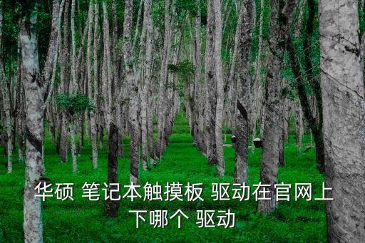  華碩 筆記本觸摸板 驅動在官網上下哪個 驅動