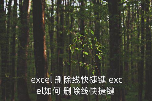  excel 刪除線快捷鍵 excel如何 刪除線快捷鍵