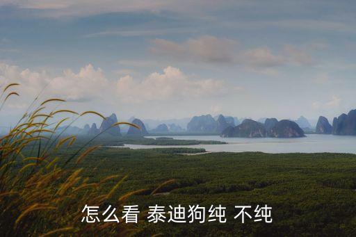 泰迪怎么看純不純,泰迪也要保持安全距離（13））