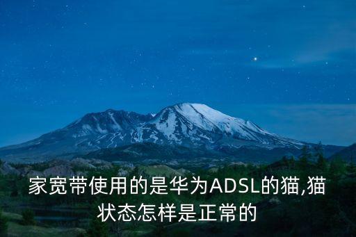 adsl貓,帶四個指示燈的貓:不聯網時led燈常亮