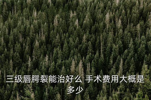 唇裂手術(shù)多少錢,兔唇修復(fù)一般需要4000多元左右