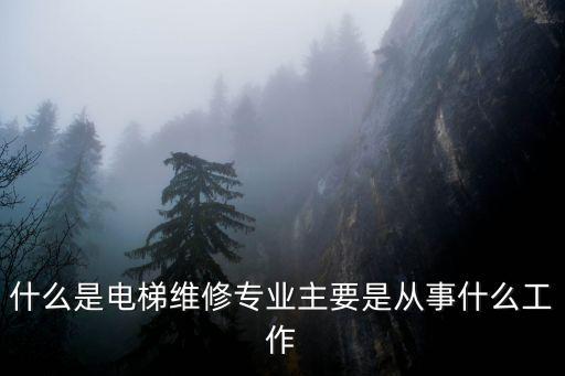 電梯維修，請教個電梯故障的維修問題
