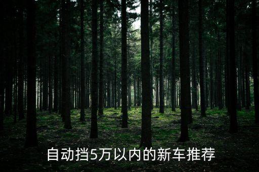 5萬以下自動檔,吉利金剛新車指導價4.39萬