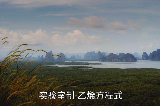  實驗室制 乙烯方程式