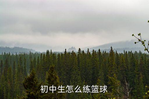 青少年籃球訓練，籃球訓練方法