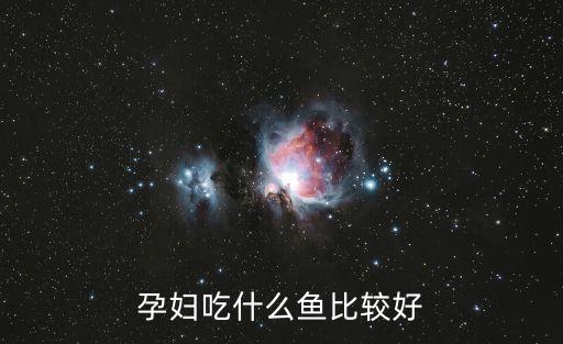 孕婦吃什么魚比較好