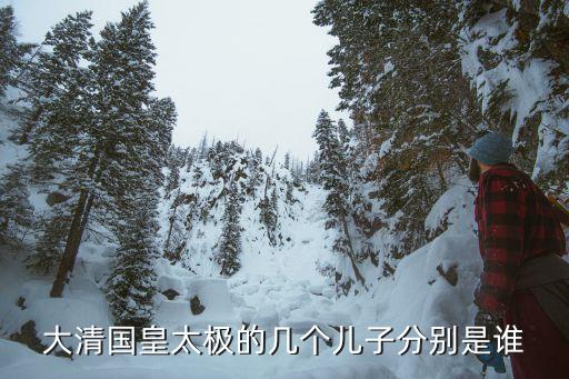 皇太極兒子，皇太極一生有幾個兒子