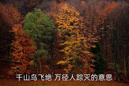 千山鳥飛絕萬徑人蹤滅，千山鳥飛絕 萬徑人蹤滅的意思