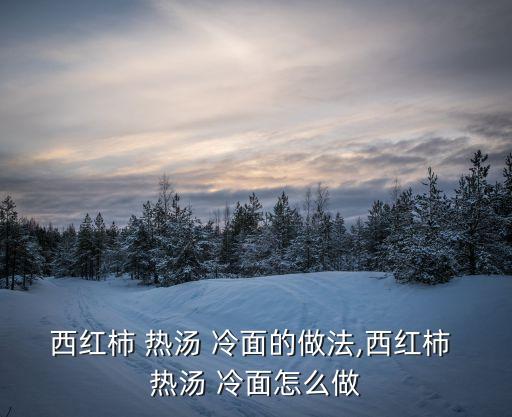 西紅柿 熱湯 冷面的做法,西紅柿 熱湯 冷面怎么做