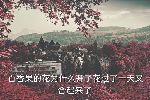 百香果的花,如何采摘和食用香港百香果?一文看懂