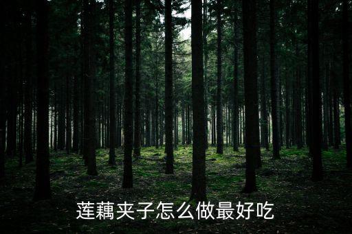 藕夾子，蓮藕夾子怎么做最好吃