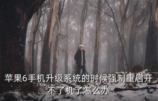 蘋果6手機升級系統的時候強制重啟開不了機了怎么辦