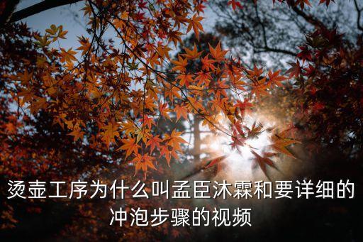 燙壺工序為什么叫孟臣沐霖和要詳細的沖泡步驟的視頻