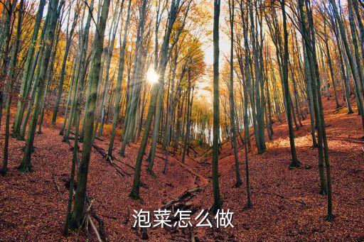 如何做泡菜,泡菜做法泡菜有何來頭?