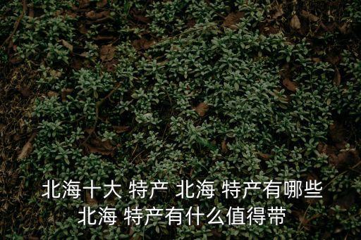  北海十大 特產 北海 特產有哪些 北海 特產有什么值得帶
