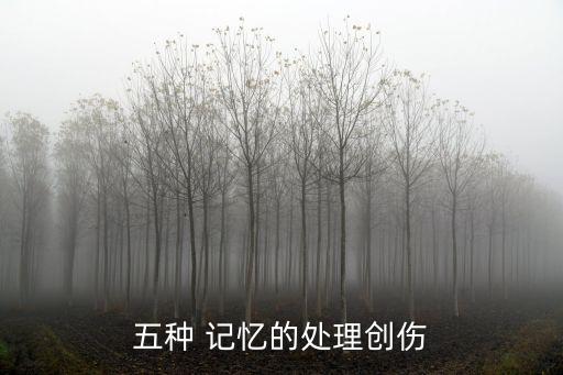 五種 記憶的處理創傷