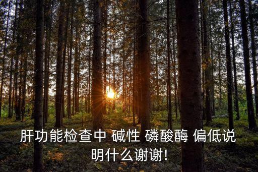 堿性磷酸酶偏低的原因,酸性磷酸酶偏高的原因有哪些?