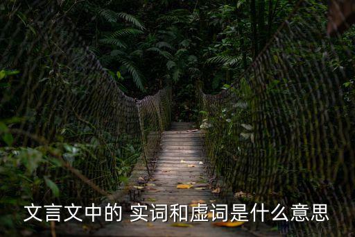文言文中的 實詞和虛詞是什么意思