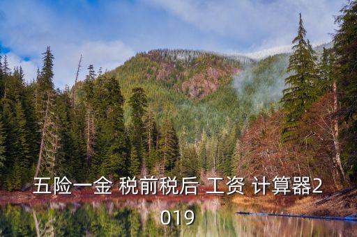 稅前工資計算器,年薪按比例扣除五險一金后繳納個人所得稅