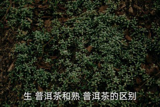 生 普洱茶和熟 普洱茶的區(qū)別