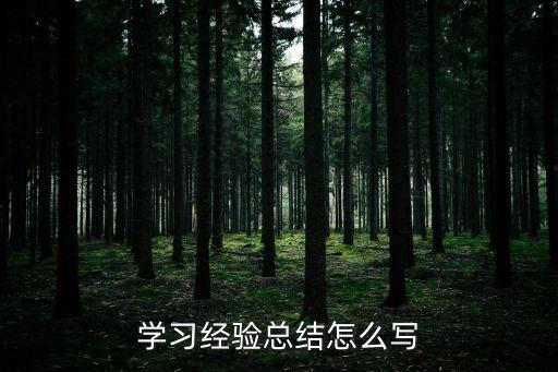 學習經驗總結，學習心得體會