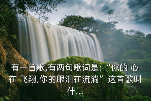 有一首歌,有兩句歌詞是:“你的 心在 飛翔,你的眼淚在流淌”這首歌叫什...