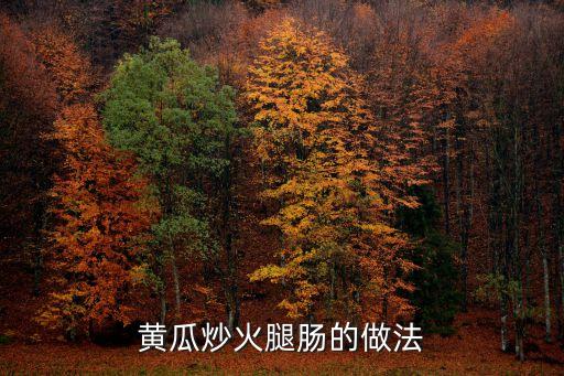 黃瓜炒火腿腸的做法