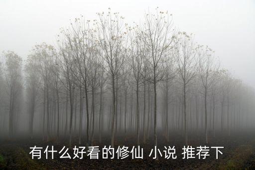 修真小說推薦,網上推薦幾本修真小說比較權威