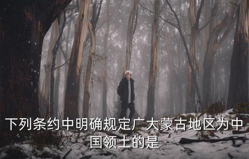 下列條約中明確規定廣大蒙古地區為中國領土的是